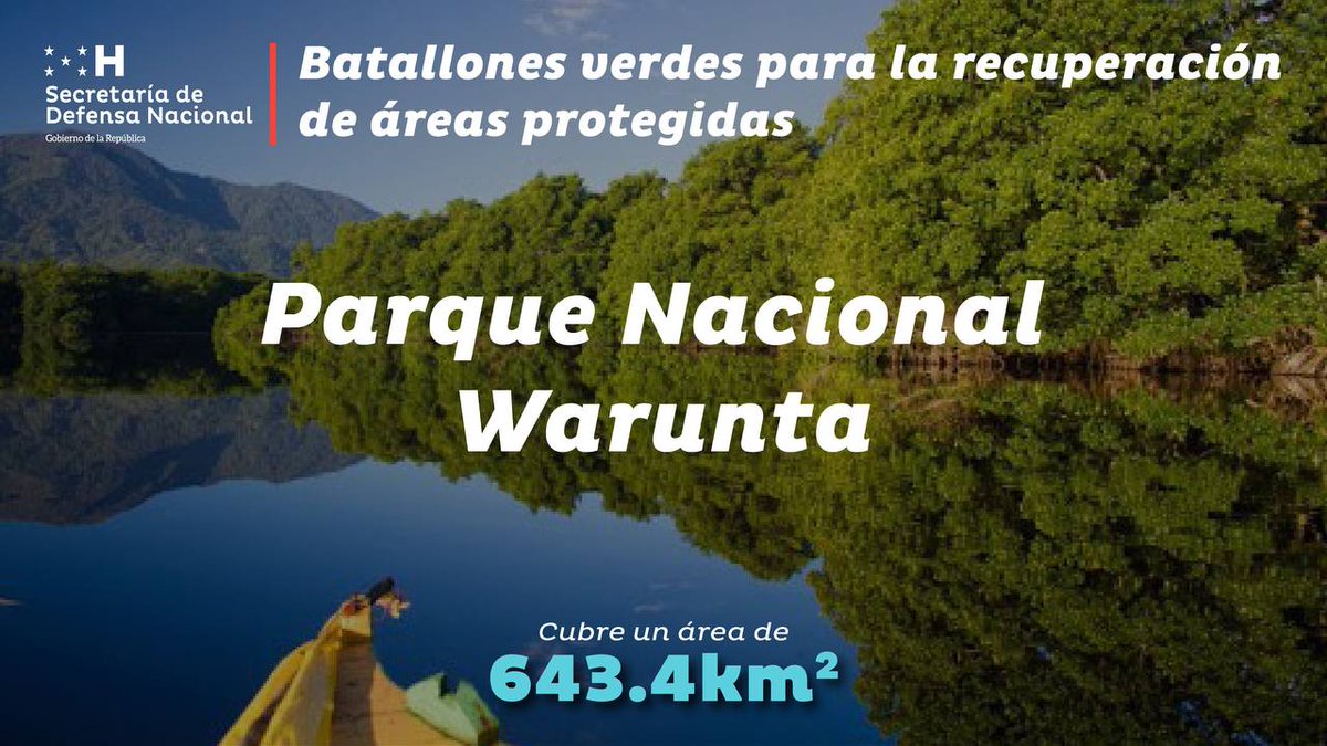 Sedenahn's tweet photo. La conservación de la biodiversidad y preservación natural del Parque Nacional de #Warunta en Gracias a Dios es un reto y compromiso que ha asumido el gobierno de la Presidenta, @XiomaraCastroZ quien junto con la parte operativa (@FFAAHN) de @Sedenahn velará por su protección. https://t.co/iXLDSke7A4