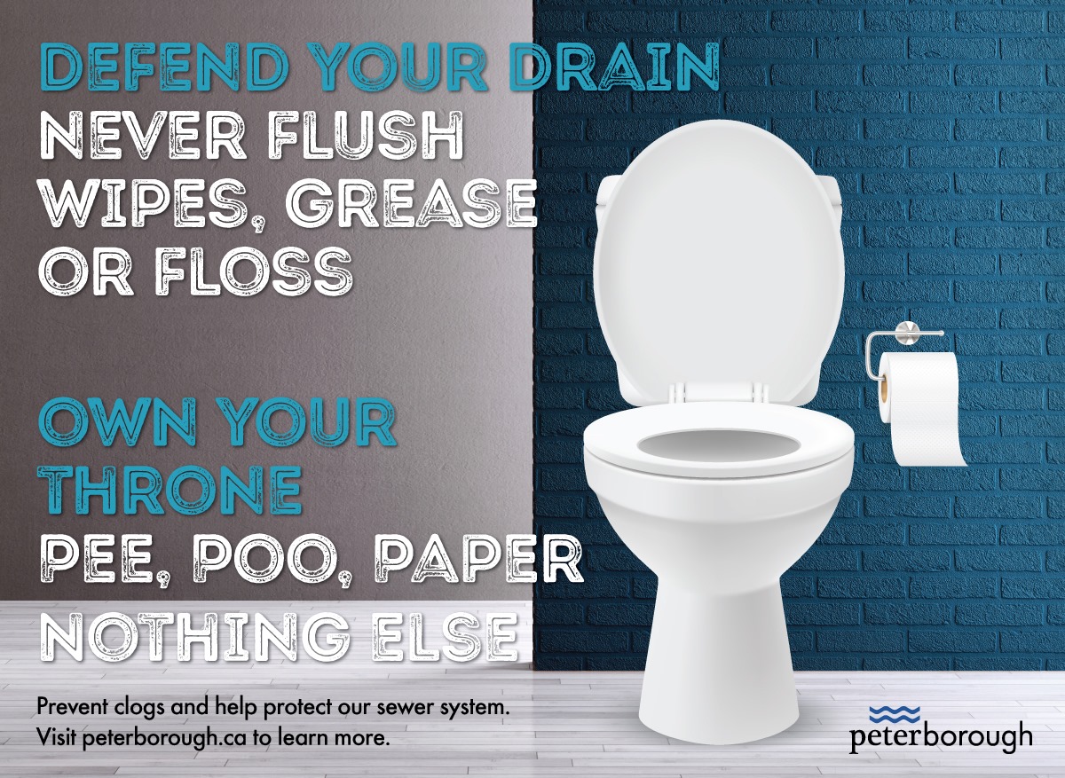 CityPtbo_'s tweet photo. Did you know that even "flushable" wipes can block sewer pipes and impact our sewage treatment plant. All wipes should be disposed of in sealed garbage bags.

Other things that can damage drains include grease and dental floss. Own your thrown - only flush the 3 Ps. https://t.co/yGS2mxVwJW