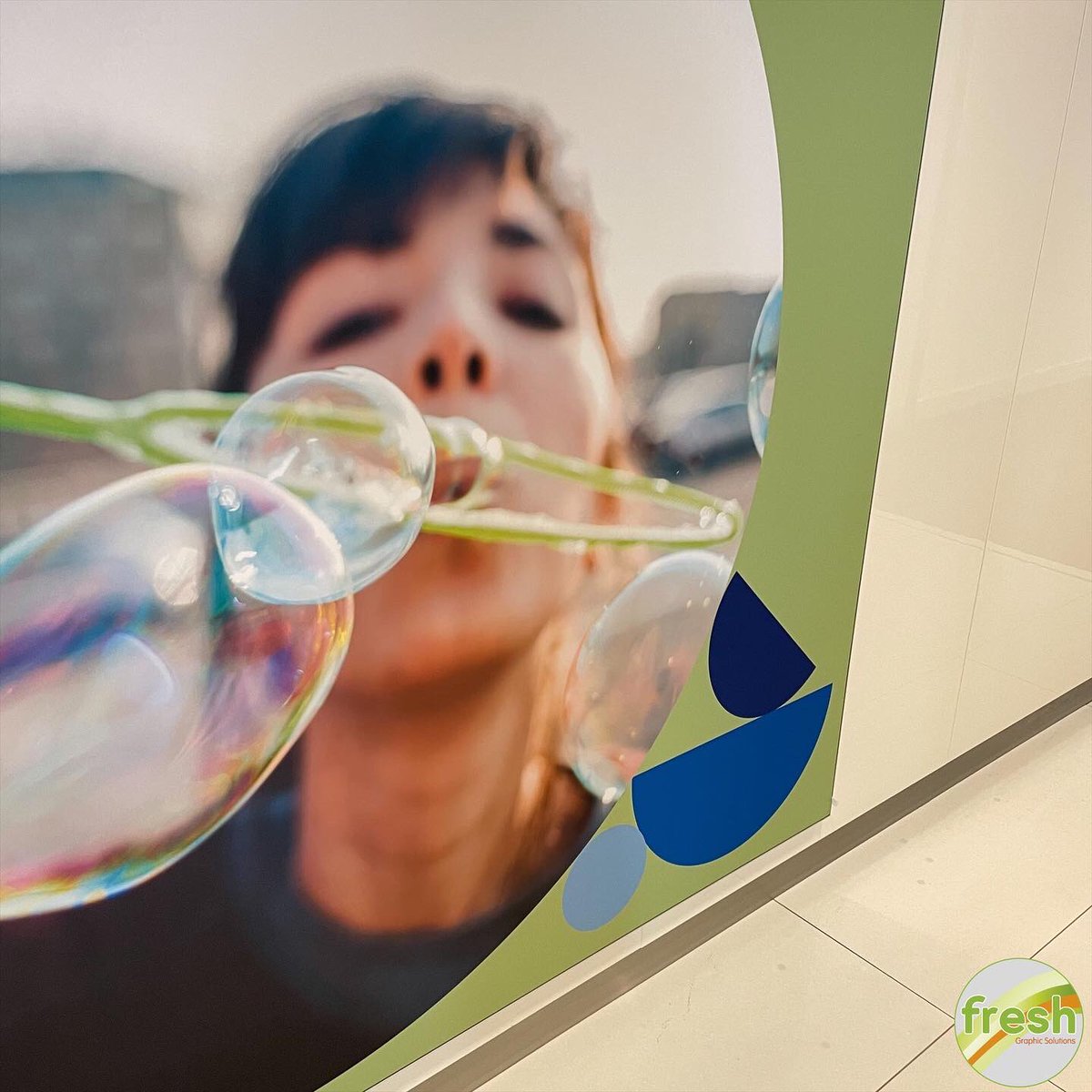 freshgraphics's tweet image. Two 1750mm x 2500mm Dye Sub Fabric Prints, with Silicone Edging, Installed onto Slim Frames.

A great solution for Clients who wish to change their Graphics easily and regularly.

#officegraphics #officesignage #siliconeedgegraphics #siliconeedge #signshop #freshgsltd