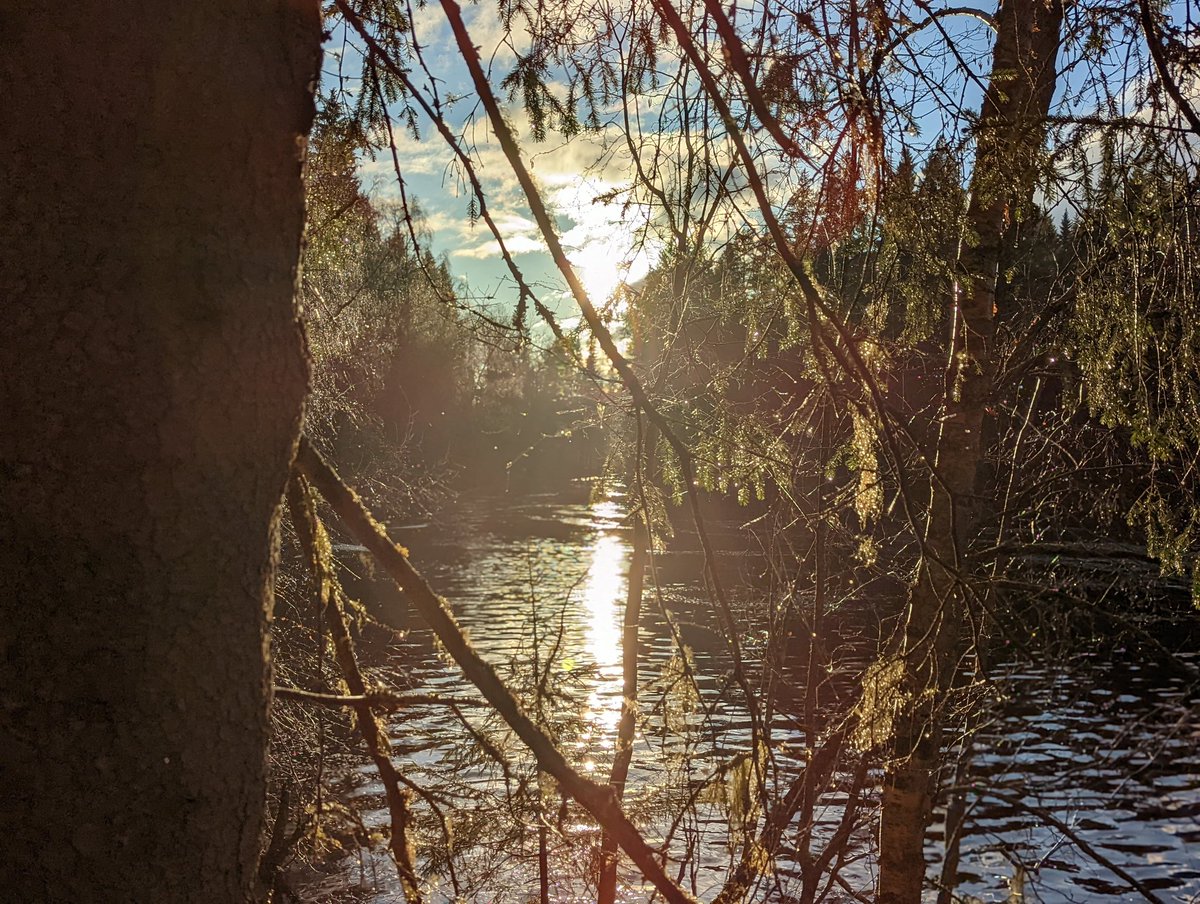 This has been the most comprehensive, and eye opening PD I've been privileged to participate in as an administrator. Thank you @FulbrightFIN for the opportunity, diploma ceremony and to the city of Oulu for hosting a send off evening with an amazing meal, conversation and views!