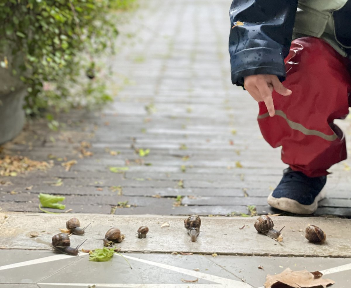 louise_a's tweet photo. Snail appreciation day for me - snail races with the littlie and a phone call with @meghabird that lasted +170cm of #snailtime #smallthings https://t.co/bpf9mWJCnr