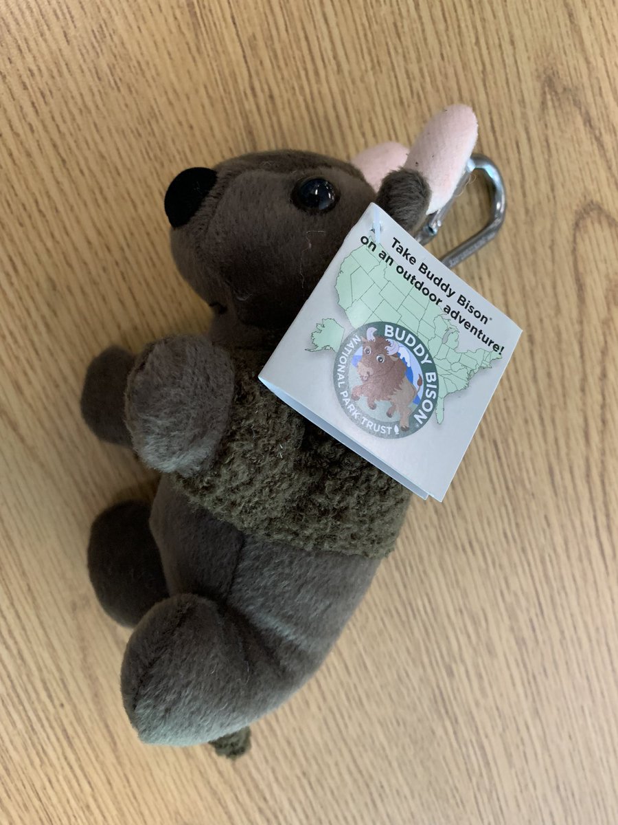 APSChristensen's tweet photo. What a thrill to meet our new friend @BuddyBisonTrips today! We can’t wait to take #BuddyBison on outdoor adventures with our families! @APSDrew @APSDrwDragonDEN https://t.co/LgRFLgr56A
