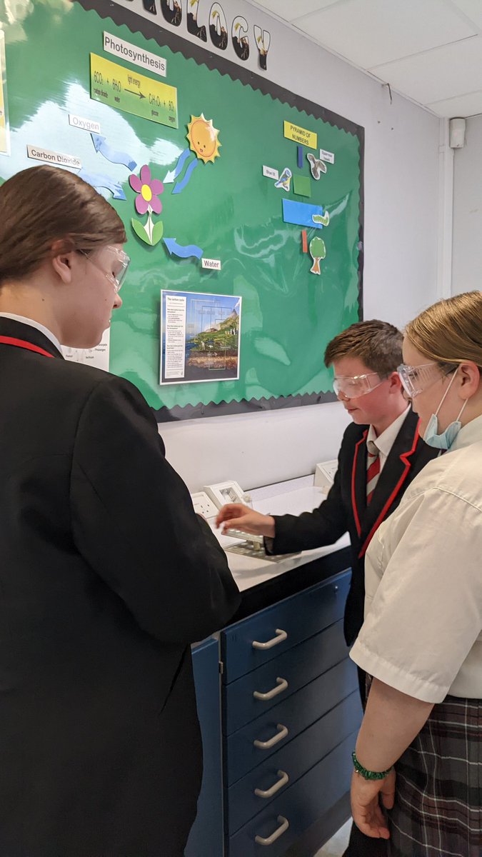 KAScienceDept's tweet photo. What a brilliant lesson with Y8 in science. 🦠They have been learning the streak plate method to grow bacteria.🦠 Looking forward to seeing the results. @KAKempston https://t.co/KrWM4gJama