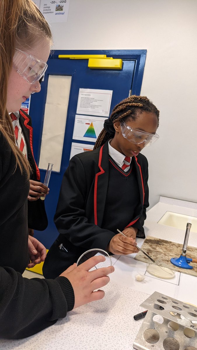 KAScienceDept's tweet photo. What a brilliant lesson with Y8 in science. 🦠They have been learning the streak plate method to grow bacteria.🦠 Looking forward to seeing the results. @KAKempston https://t.co/KrWM4gJama