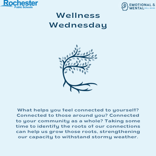 Wellness Wednesday

What helps you feel connected to yourself? Connected to those around you? Connected to your community as a whole? Taking some time to identify the roots of our connections can help us grow those roots, strengthening our capacity to withstand stormy weather.