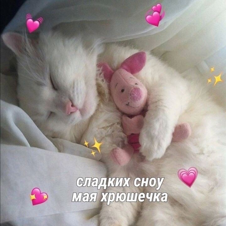 о Архонты, как же болит всё тело, казалось бы, я ничего такого не делал. думаю, единственное на что я сейчас способен, так это лечь спать, что и тебе советую. завтра нас ждут новые свершения, поэтому нам нужно набраться сил, так что долго не засиживайся.