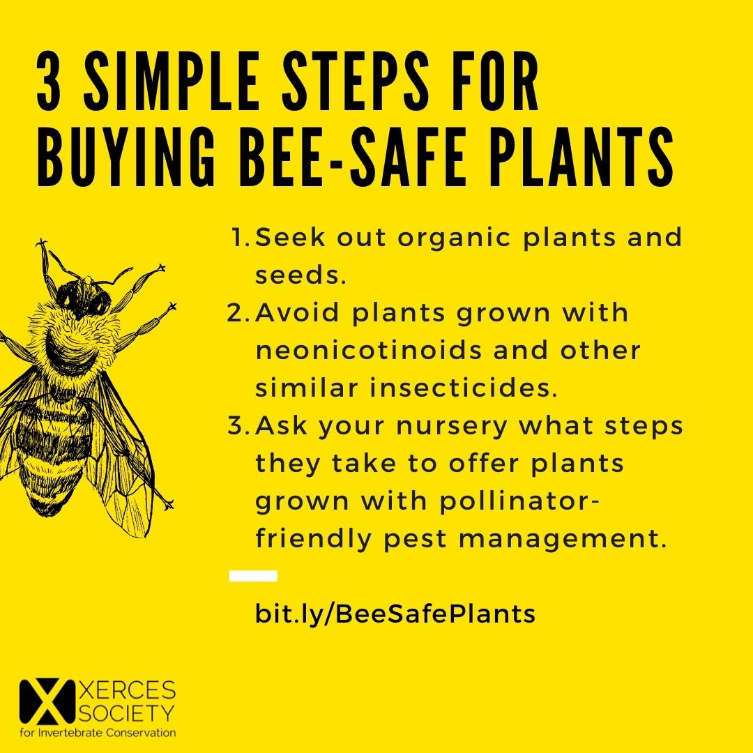 Join Xerces in a nationwide day of action to protect pollinators this spring! This May 21, ask your garden centers and nurseries to carry organic and #beesafe plants. Sign up and order materials at bit.ly/BeeSafePlants
