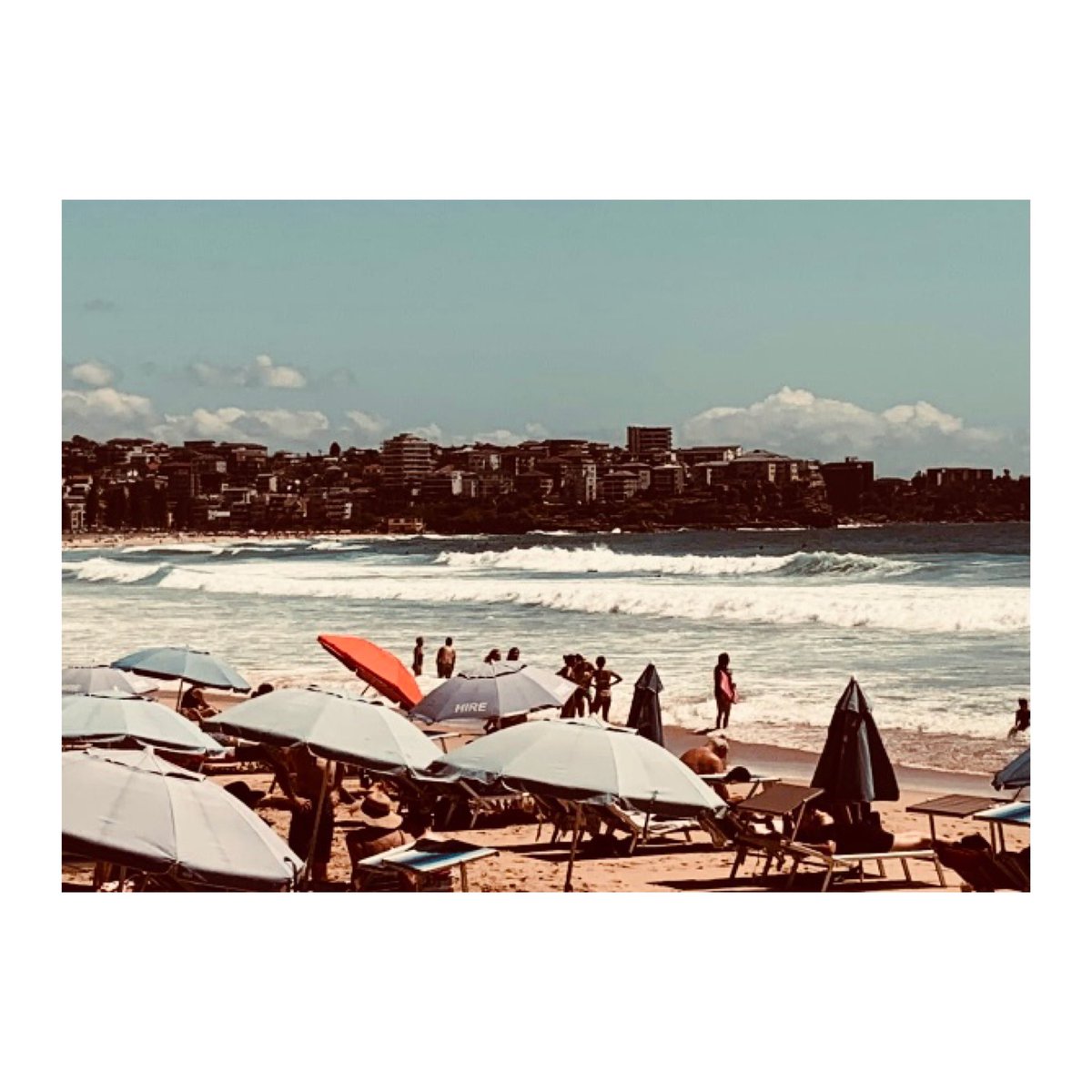 Altmanlysydney's tweet photo. @george_byrne Manly, Sydney - Summer 2022 https://t.co/AWJ87MHJka