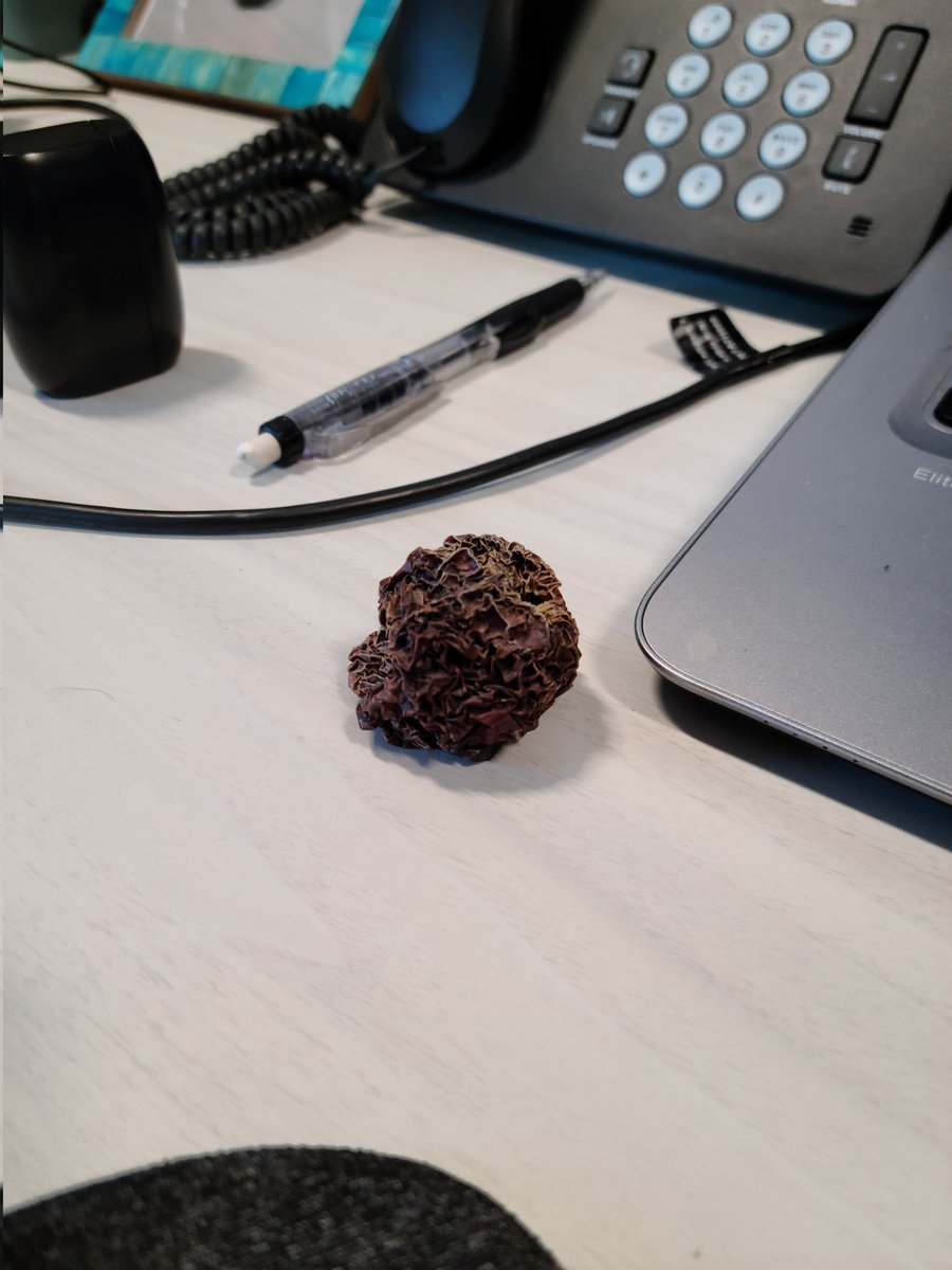 Lexort25's tweet photo. If this tweet gets 10 likes I'll reveal an even older fruit than my 7.5 year old apple .#oldapple https://t.co/w01ODB33dE