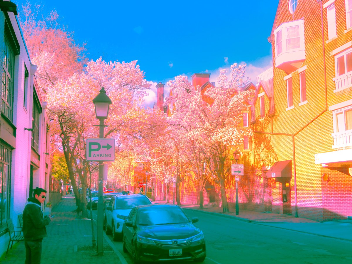 takeadaydream's tweet image. life in full bloom