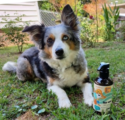 ChosenByDogsCBD's tweet photo. 💛 Chosen By Dogs 🐶 "Far Out" Shampoo...

* Moisturizes fur with nourishing hemp seed oil and drug-free cbd
* Softens coat and helps provide a shiny look
* Freshens up with a coconut lime fragrance
* Naturally gentle ingredients
* THC-Free and non-psychoactive https://t.co/tgwv5wz6ui
