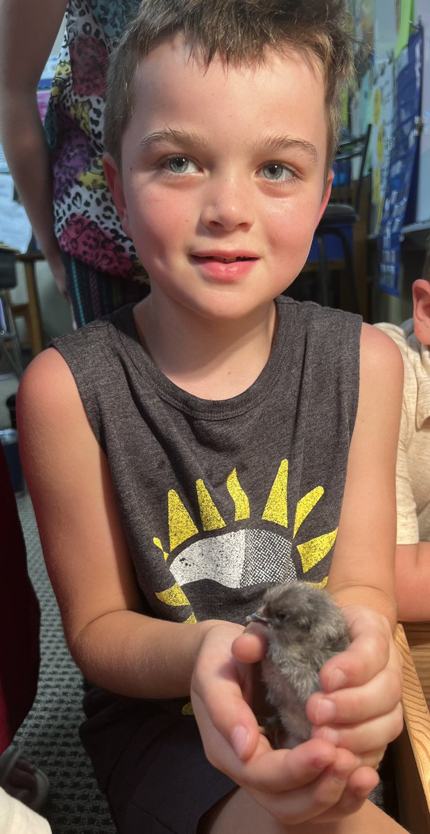 supfairfield's tweet photo. When a Millersburg student begs you to come see their baby chicks, you of course go visit their classroom! 😊 Thank you Brody and Mrs. Kalich’s class for sharing these babies with me! #fcspride @MDEnglishTeach 🐤 @FCS2155 https://t.co/fkgius7uoi