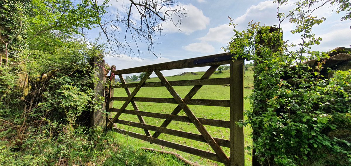 sufishsu's tweet photo. @LakesStiles @tismenic70 @Soapy_Wit_Tank @LordOrk @RuthRendell1 @tutty352 @ceadela @clouds_go_by @LansdellMum @WindowsLake @Yeti98_ @ProjectWHYUK Little Bridge and #nicegate for #Woodensday https://t.co/Ejnso6Bsxa