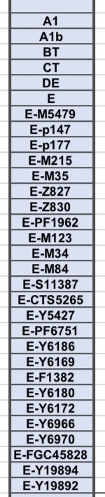 شقران ناصر الاشقر tweet media