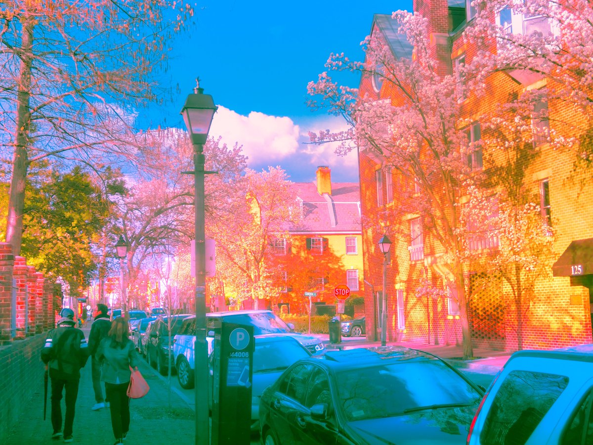 takeadaydream's tweet image. life in full bloom