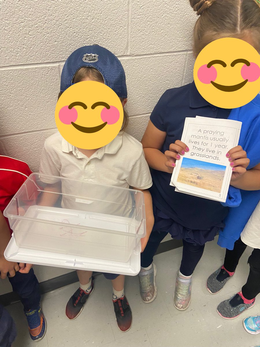 mllehogan's tweet photo. Our ootheca has arrived! We learned that praying mantis’ are usually found in grasslands, so we spent recesses finding some things to make them feel at home. We measured the perimeter of our tub to make a lid, and made sure to add some breathing holes. Now we wait! https://t.co/Lt2VAXeL2u