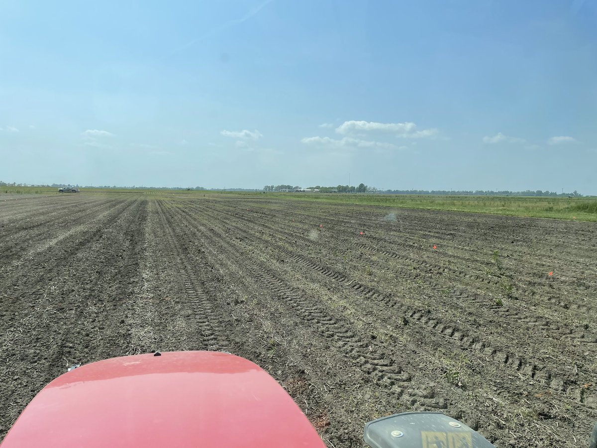 jchlapecka's tweet photo. Furrow-irrigated rice trials finally going in at the MU Delta Research Center on clay. Cultivar, seeding rate, phosphorus/starter fertilizer, and N trials on varieties all going in today. Hate to say it but we’ll need a rain soon. https://t.co/EFBNzklJyX