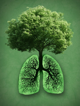 Respira_Tech's tweet photo. #love your #lungs ♥♥♥♥ #respiratech #respira #asthma #breathe #breathing #copd #inhaler #pulmonarydiseases #asma #bpco https://t.co/BznVWG4f3K