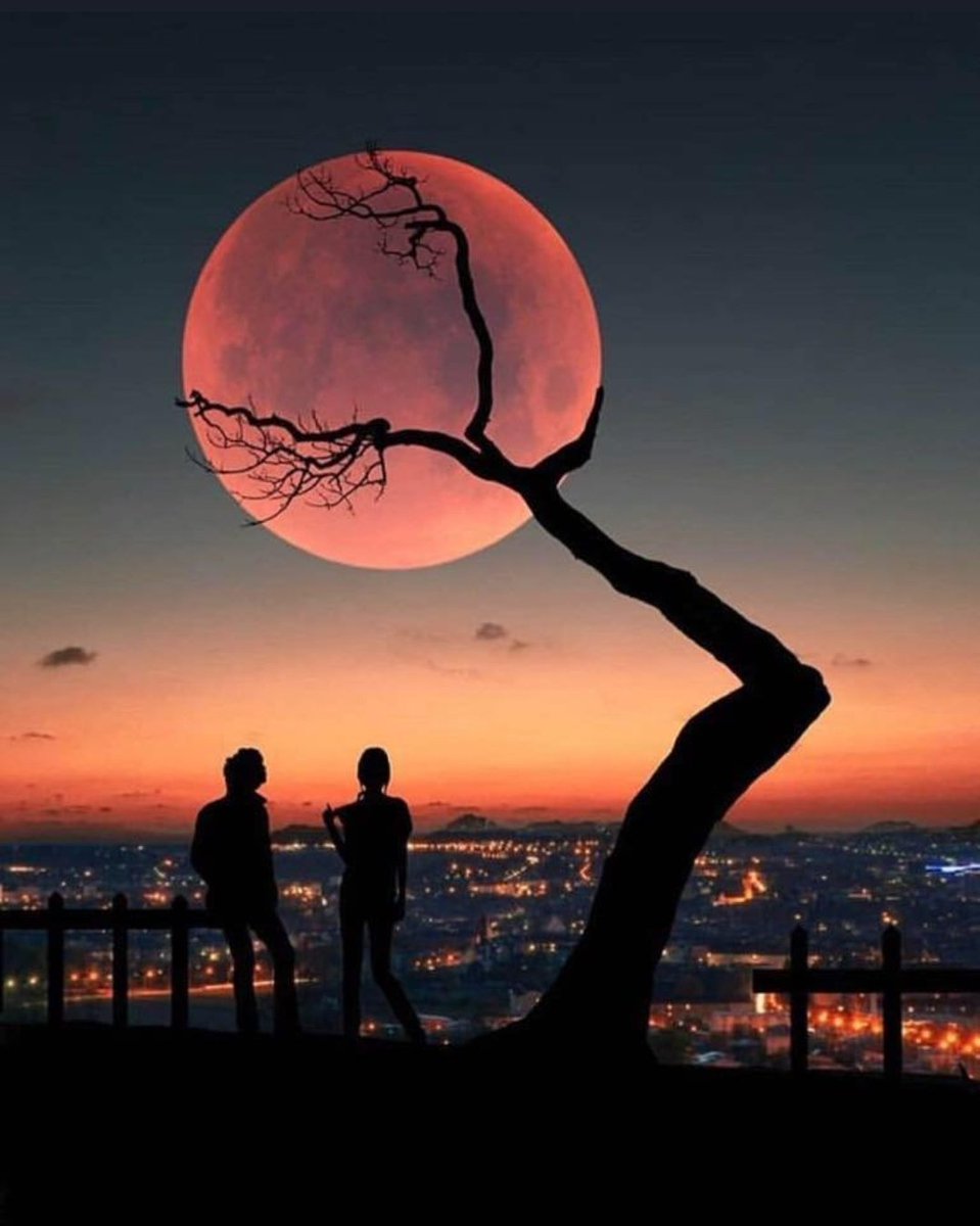 RSpaceBoy's tweet image. #Robotoken #NFT