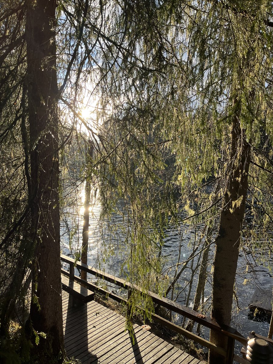 What a beautiful setting in which to conclude our #fulbrightteach learning! Thank you, @FulbrightFIN for a life-changing experience over the last 10 days 🇫🇮❤️🌲