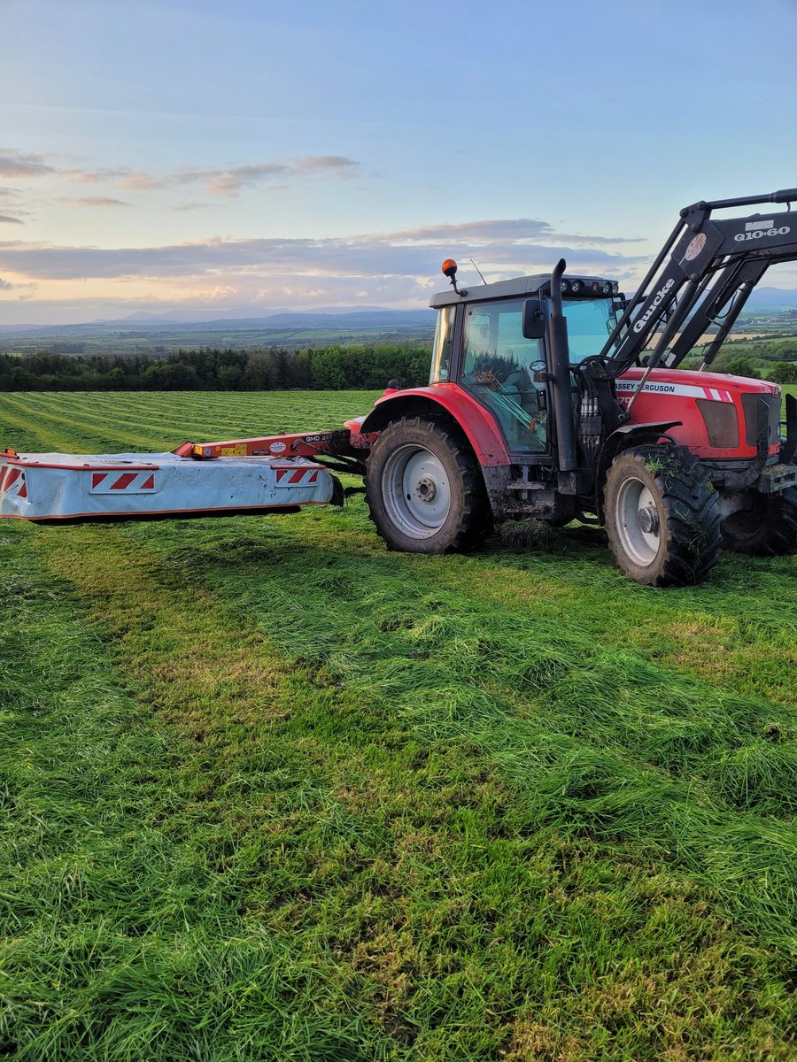 ihegarty tweet media