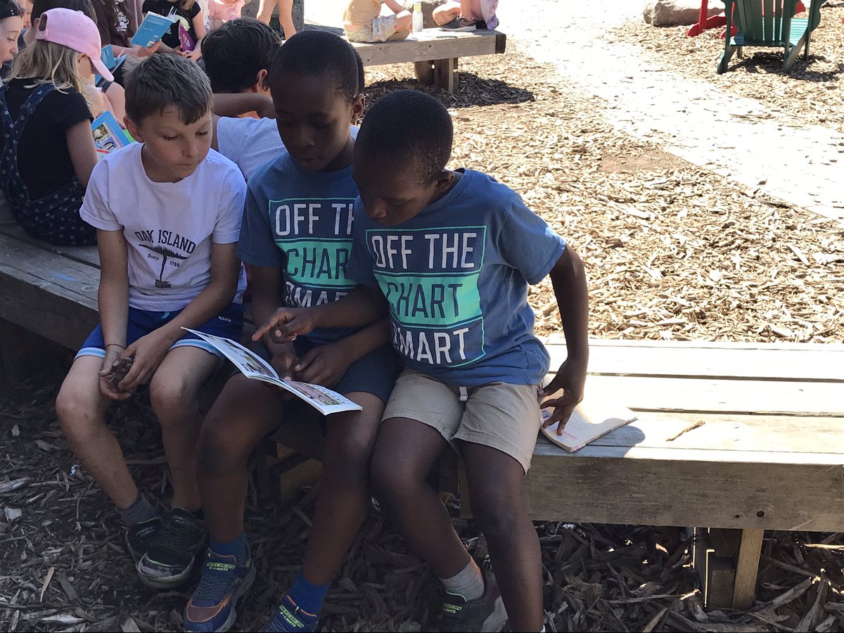 singerocsb's tweet photo. Our outdoor reading with Grade 4 buddies was enjoyed by everyone :)  Thank you Mrs. Peddle and Mme Isabel for reading with us! 📚 https://t.co/sf6NGduJj6