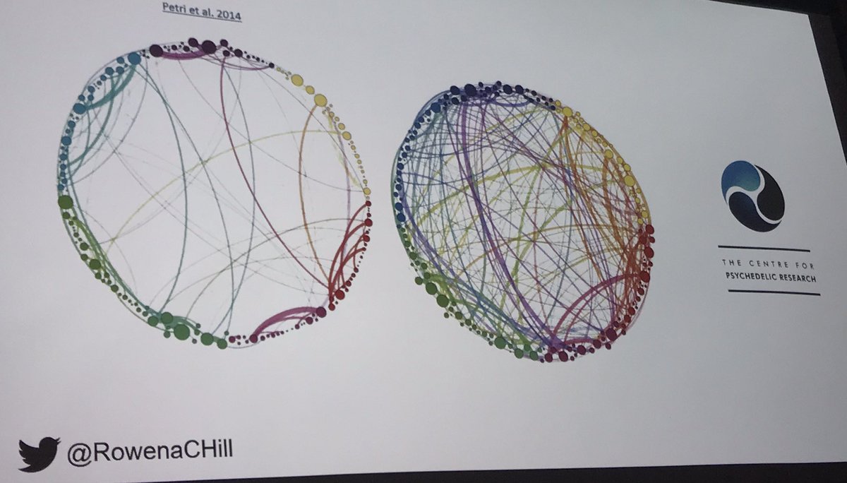 Prof Seirian Sumner tweet media