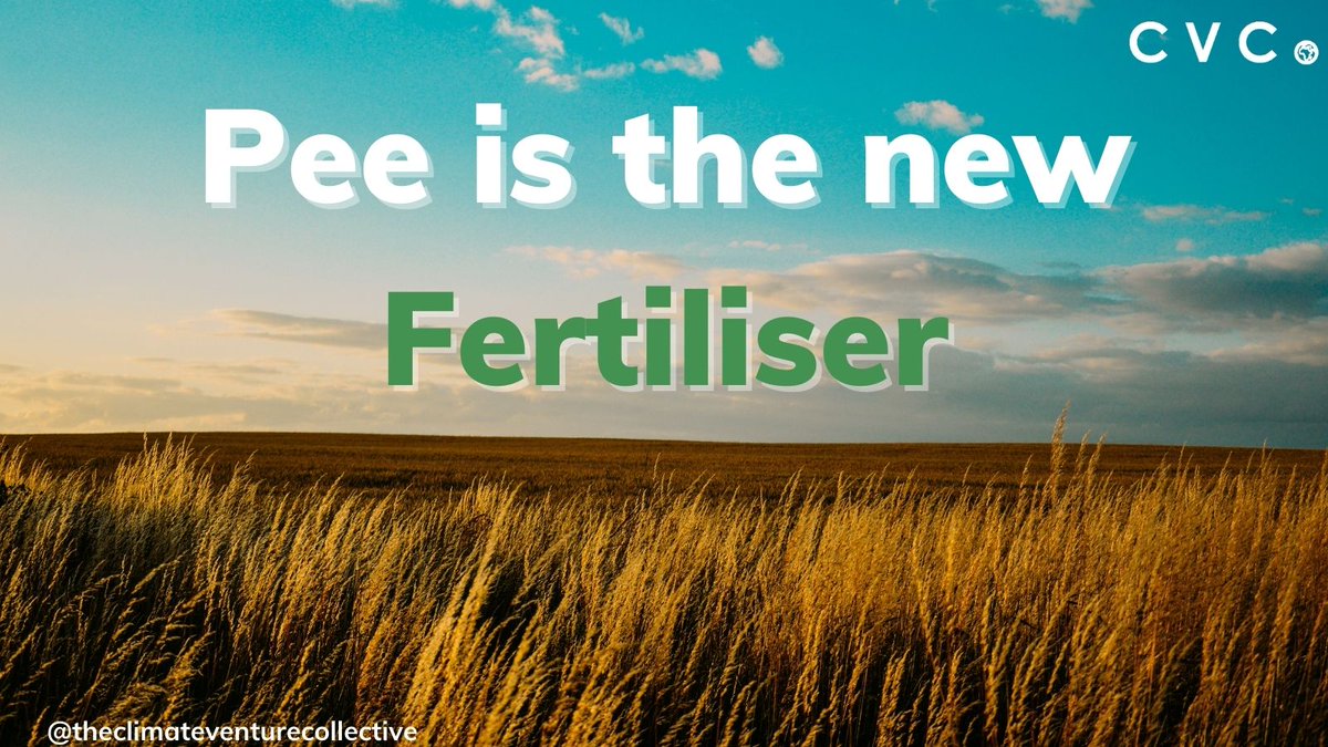 The Climate Venture Collective tweet media