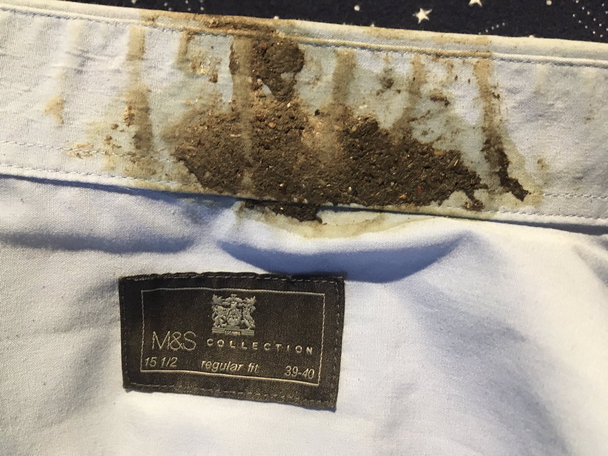 JoeChurcher's tweet photo. When you feel oddly happy to realise a bird’s shat down your neck - because you can stop glaring furiously around trying to decide which of the people near you looks the kind of dick who’d chuck a cup of something warm and slimy at a #blind man with a #whitestick https://t.co/UVtcPYvwbq