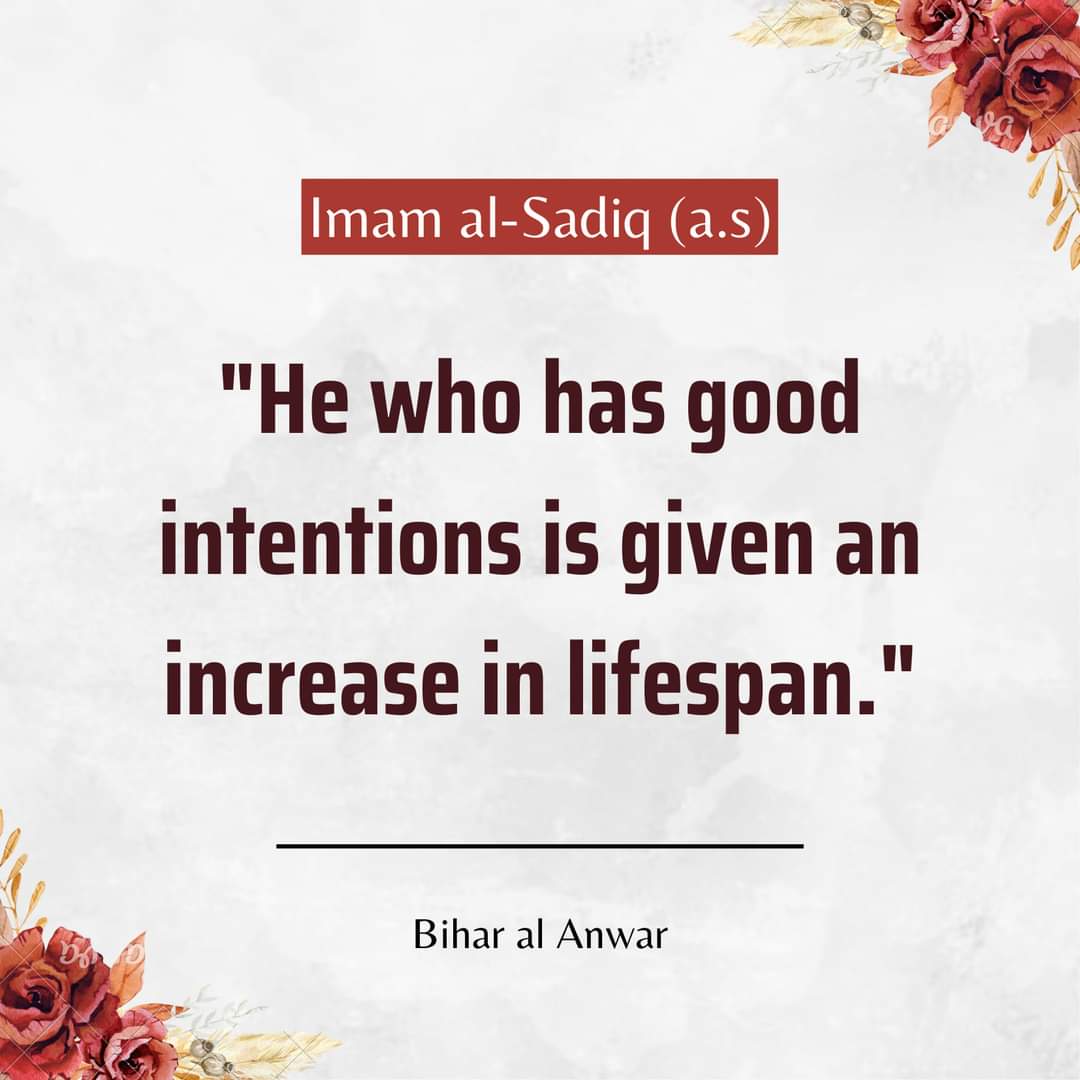 law_haider's tweet photo. https://t.co/mXyQm7ySi3