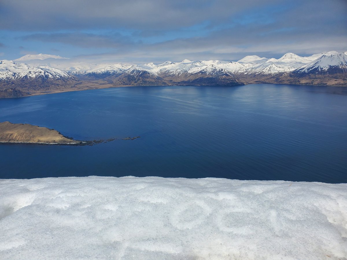 Dr. Emily Lemagie tweet media