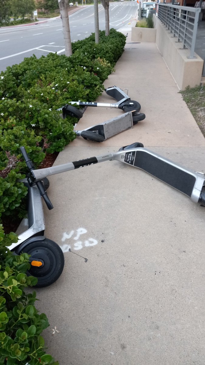 PCDan76's tweet photo. @BirdRide @GoogleARVR Working so good in San Diego...What a joke. These were taken 3 days ago at San Diego State University where your product trashes our campus. #sdsu #cityofsandiego https://t.co/LWZh08nKYX