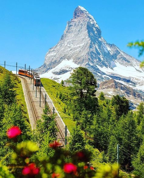 GloriaSamadhi's tweet photo. Switzerland today 🇨🇭 *¨(✿◠‿◠)☼...🇨🇭 🌞💖
#Switzerland #gloriasamadhi #LoveSwitzerland 💖 #HOH #bandb #hotel #GloryMoments #inspiration #mindfulness #leadconsciously #HotelSwitzerland #coaching   #mbsr #HouseofHarmonySwitzerland #travel #meditation https://t.co/7q5XOiMxrJ