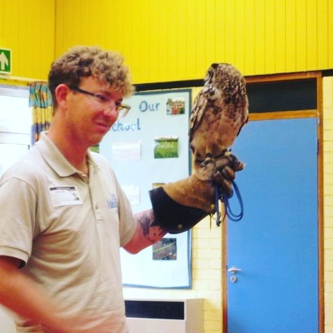 crosshallinfant's tweet photo. Year 1 enjoyed a visit from @FensFalconry today. The children got to learn more about birds and watch them fly! #year1 #birdsofprey #fensfalconry https://t.co/BidxqZpCzV