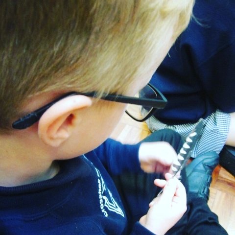 crosshallinfant's tweet photo. Year 1 enjoyed a visit from @FensFalconry today. The children got to learn more about birds and watch them fly! #year1 #birdsofprey #fensfalconry https://t.co/BidxqZpCzV