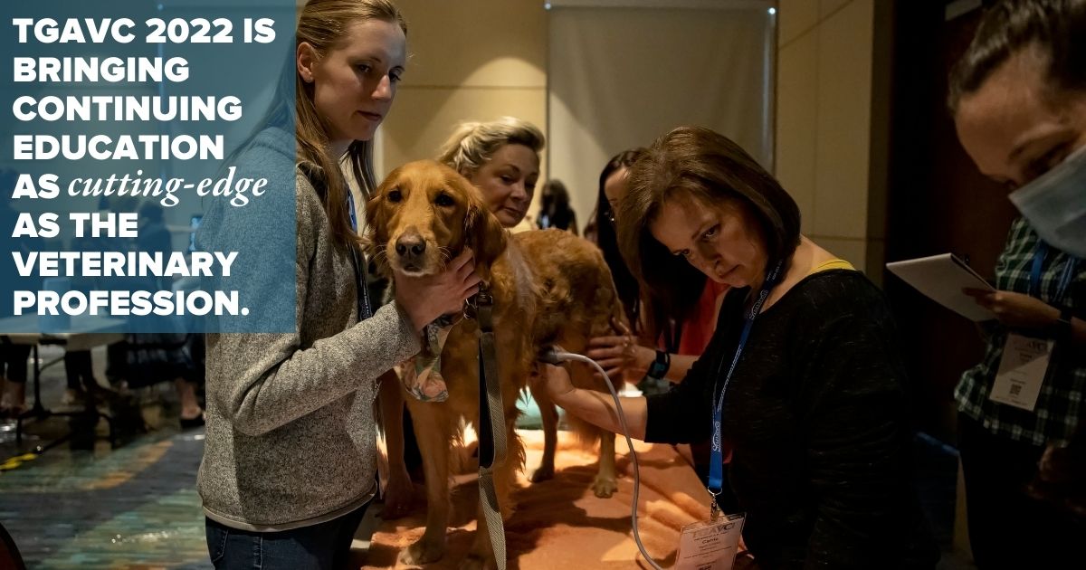 TGAVConference's tweet photo. The Gulf-Atlantic Veterinary Conference is bringing hands-on continuing education to South Florida this September with twelve different wet labs.

Learn more, and register while availability remains:
https://t.co/6IczEaamZz https://t.co/YIa7VLrS4h