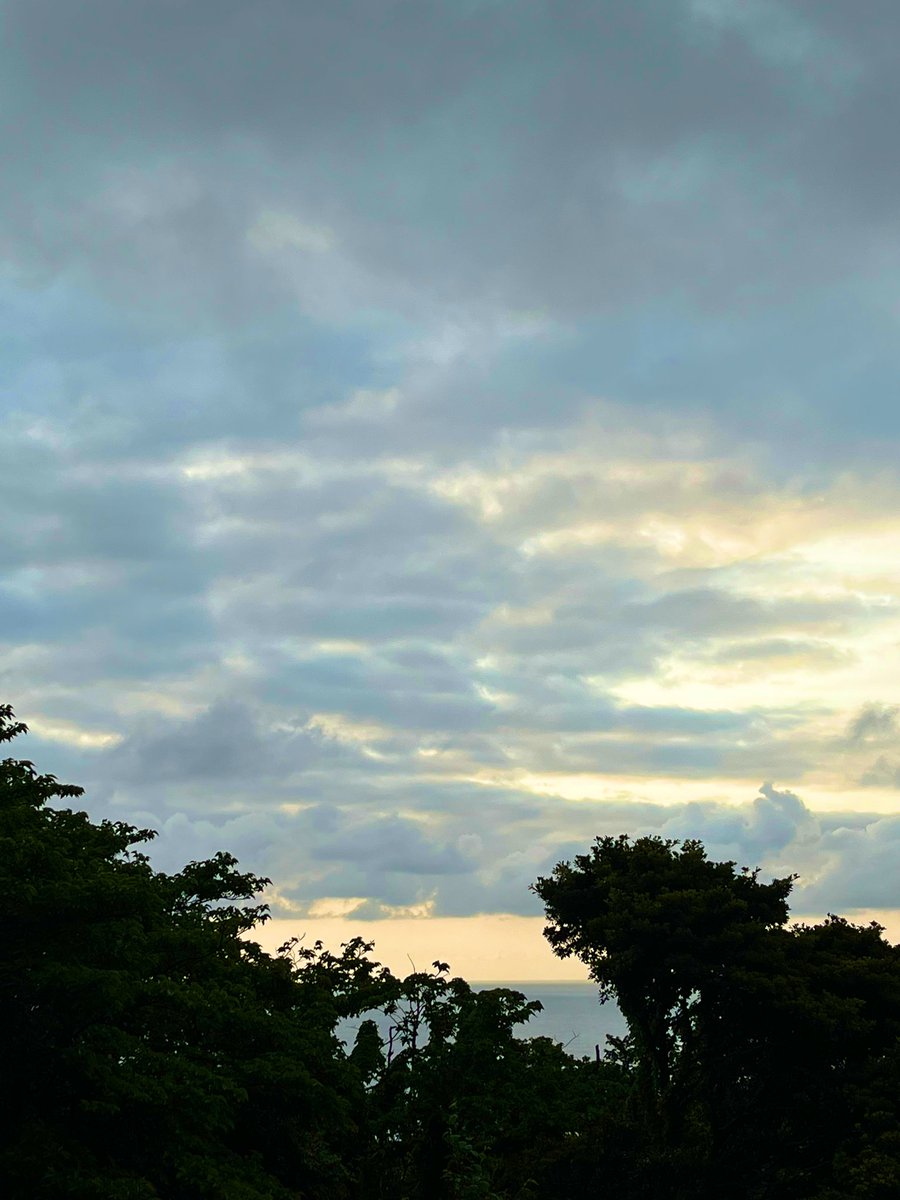 本日も こちらは雨降りそうな天気ですが 今のところ風もなく穏やかです 皆様本日も御安全に お過ごしくださいませ^_^✌️ luck‼️