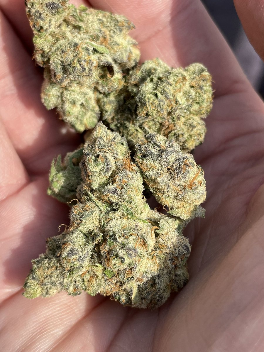 heretic conker tweet media