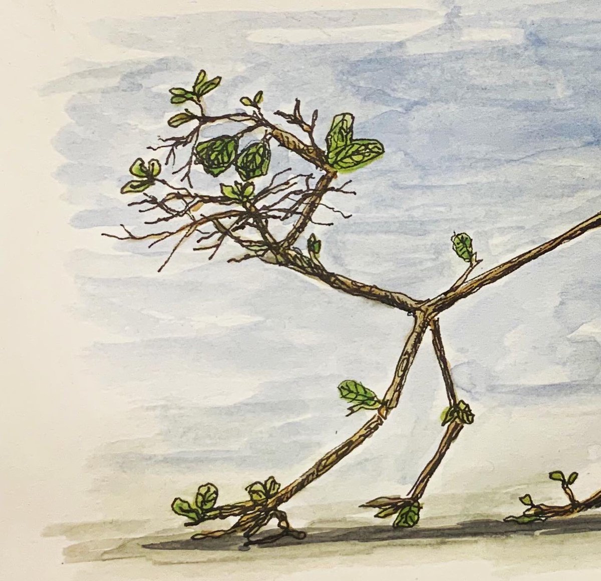 edinsketcher's tweet photo. ‘Just draw a stick cat’ they said 😆😺❤️ #100catsketches #100daysproject #inkdrawing #characterart #watercolour #picturebook #stickcat https://t.co/an3Jwhsvrb