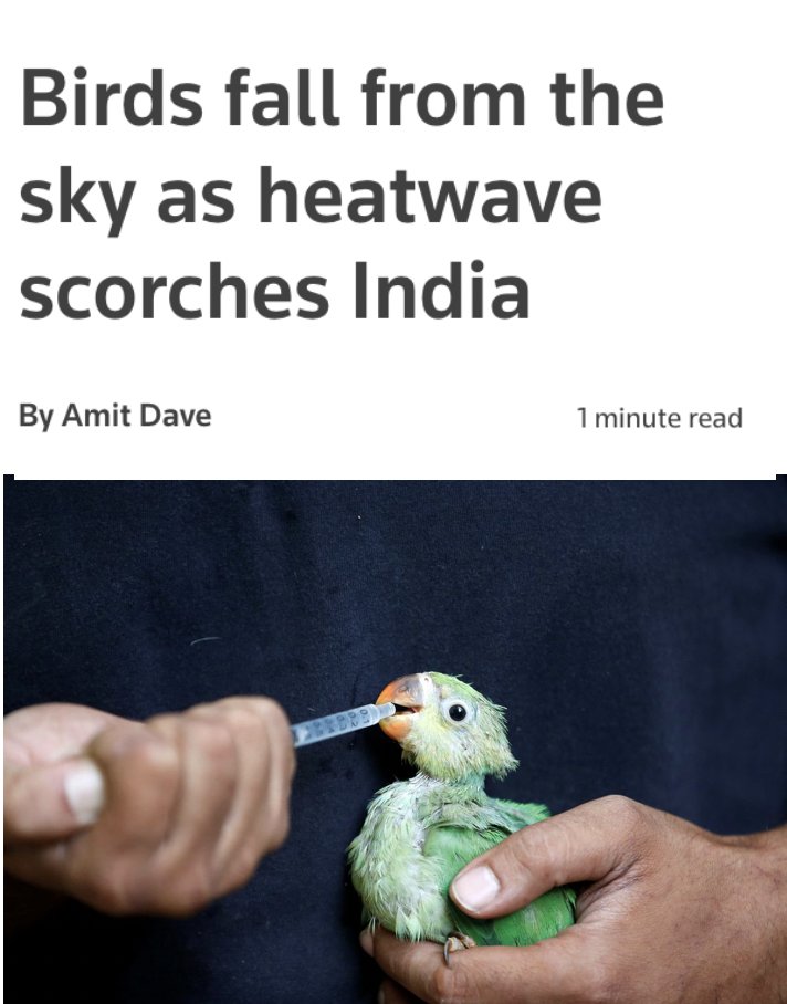 VeryGoodEngg_HQ's tweet photo. If you have a terrace, keep water in a bowl and some grains.
I don't know whether there is heaven or hell in the afterlife, but it's one of the best ways to impact someone's life this summer.
#India #Saveabird https://t.co/VDd9MvZPi0