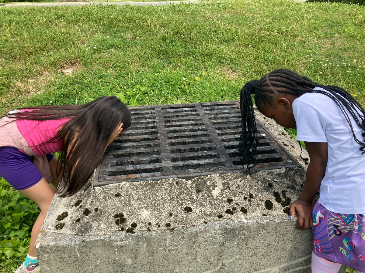 NashvilleMWS's tweet photo. Neely’s Bend Elementary Gifted &amp; Talented students inspected the stormwater control measures &amp; stormdrains at their school. Finding the clean stream running through their campus, they determined that litter was kept away by the SW control measures!  #MNPS #stormwatereducation https://t.co/tQ65QPgiPj
