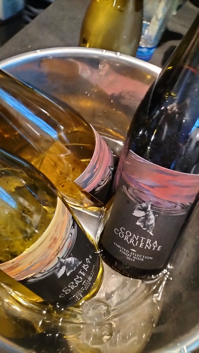 Sofia Elena tweet media