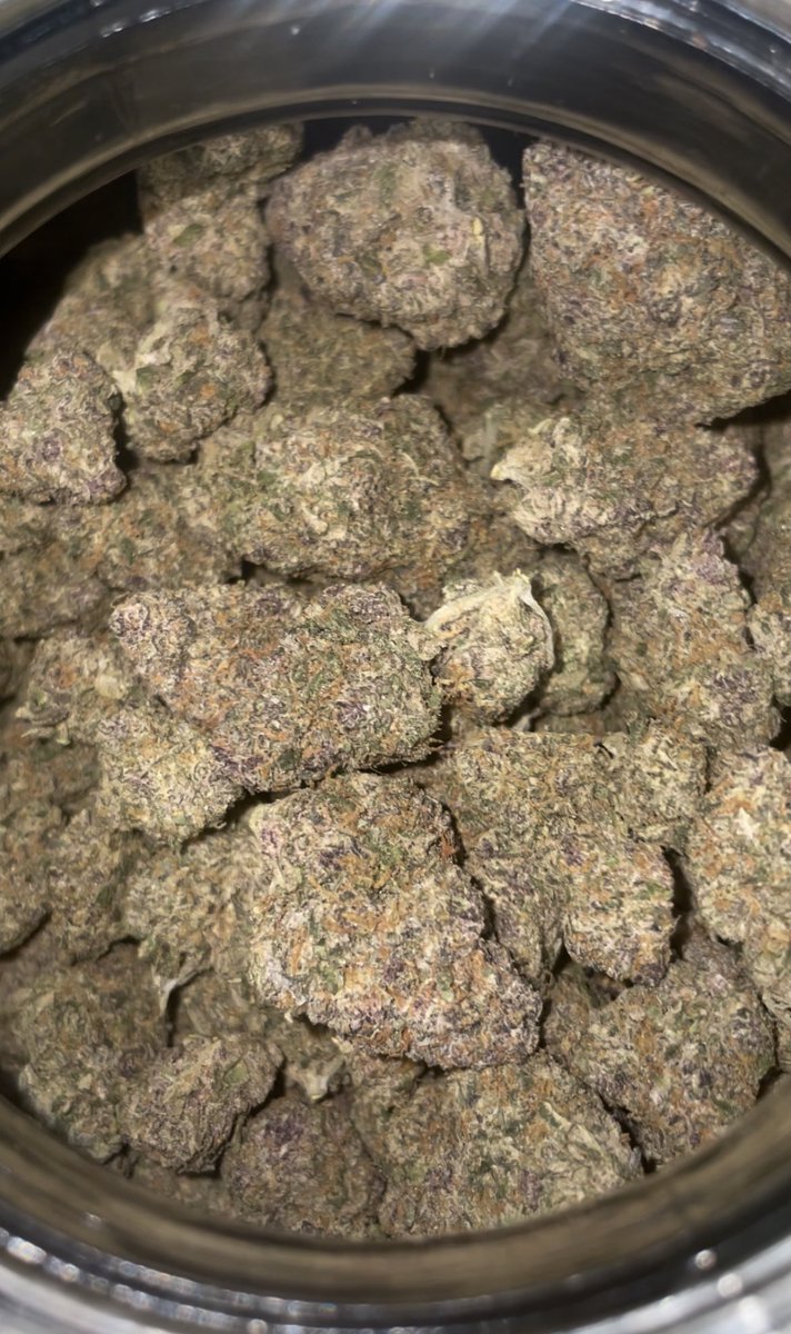 KashKartel3's tweet photo. Grape 🍇 150 Zips til Friday 🔥 #Houstonza #HTXplug #Houstonplug #Houstongas #Humbleplug #HTX420 https://t.co/0drj8zGwNJ