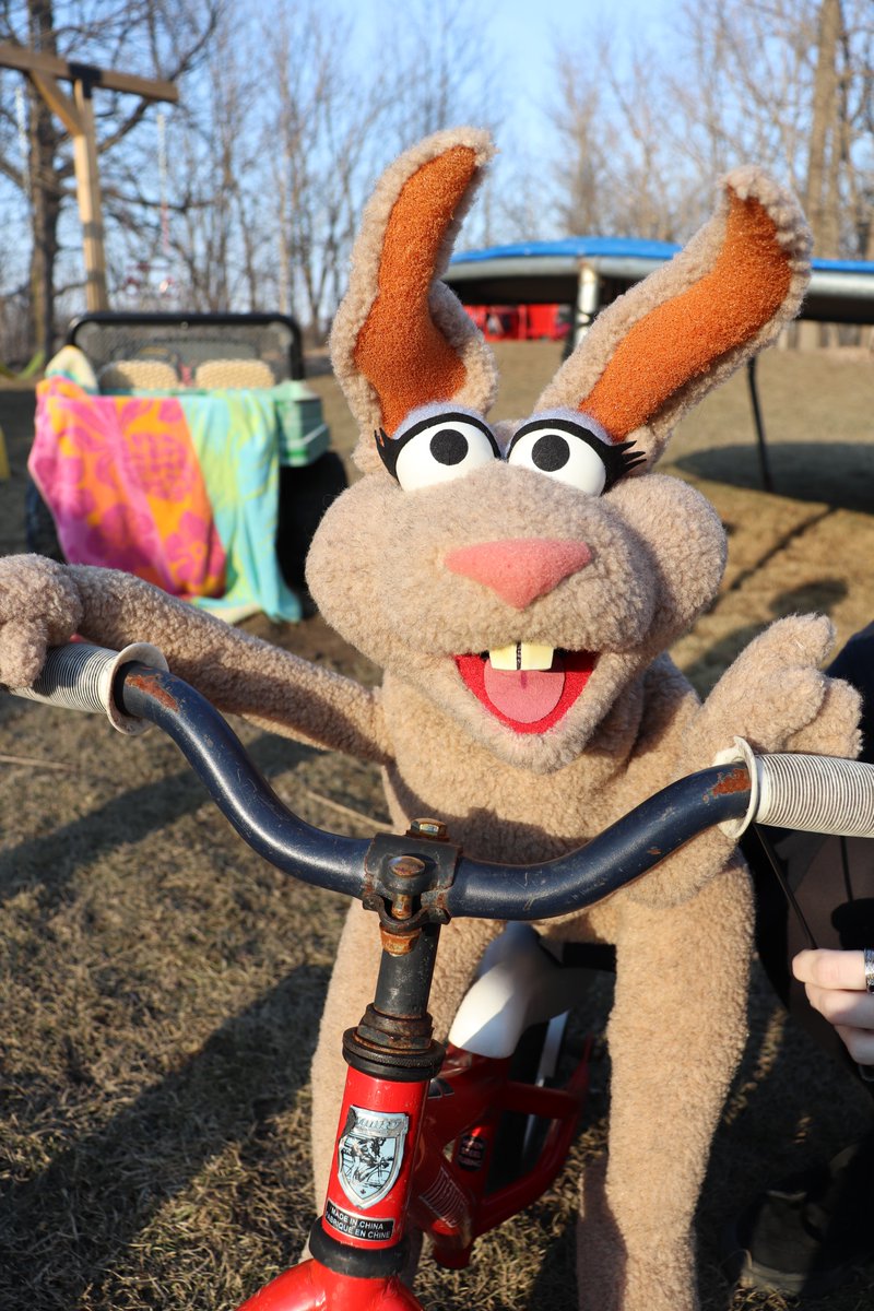 M.I. understanding tweet media