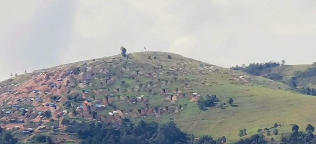 spitz_bernard's tweet image. #Luhihi
Goud doet niet alles blinken..