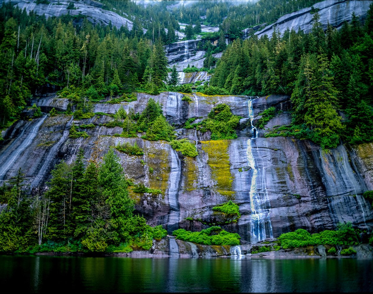 Wilderness's tweet photo. In @NRDems hearing, @RepRubenGallego says a bill to #ProtectTheTongass from reckless extraction will help fight climate change and ensure clean water. Let’s move the Roadless Area Conservation Act forward! #SaveRoadless https://t.co/WlaLZWJIgW