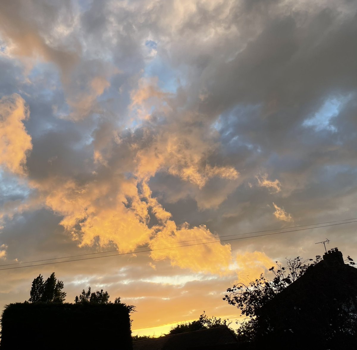 FeeebsC's tweet photo. Beautiful sunset after the downpour…which resulted in my walk being a ‘dodge the zillion snails’ challenge which I successfully achieved until I turned onto my garden path and heard that grotesque crunch of an unfortunate 🐌 having met its untimely end! #sorrysnail 😬 https://t.co/AdxFBIEk4I