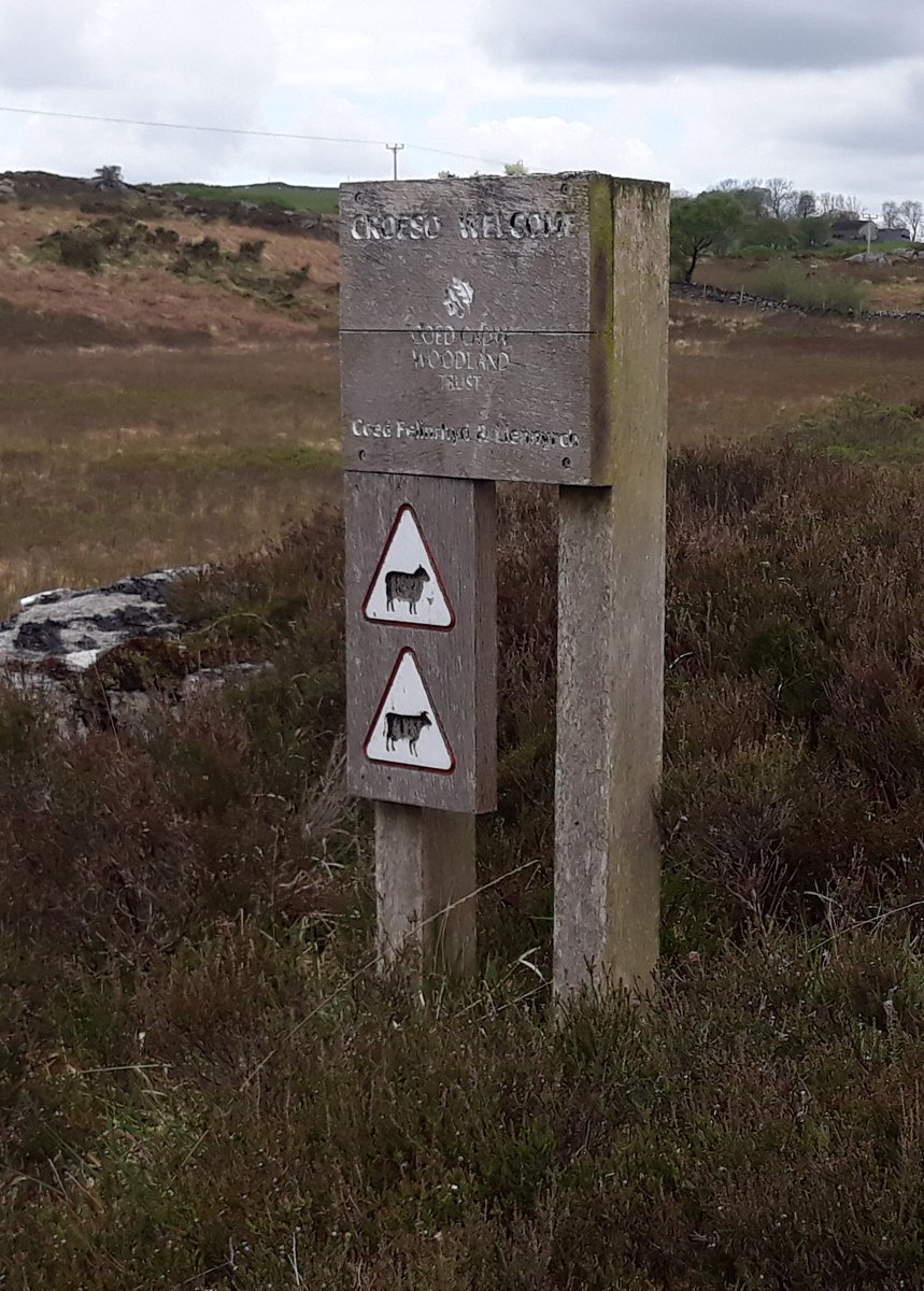 Natalie Buttriss tweet media