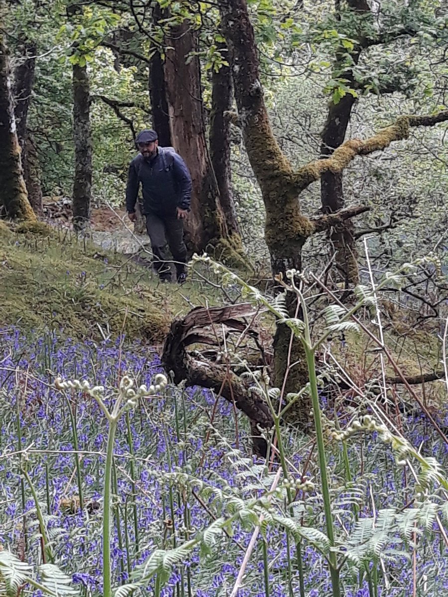 Natalie Buttriss tweet media