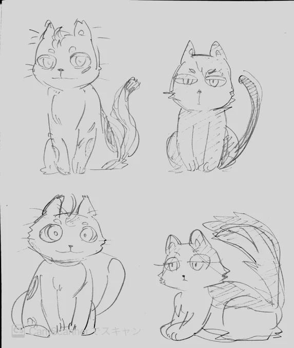 ノリムネコの仲間たち 